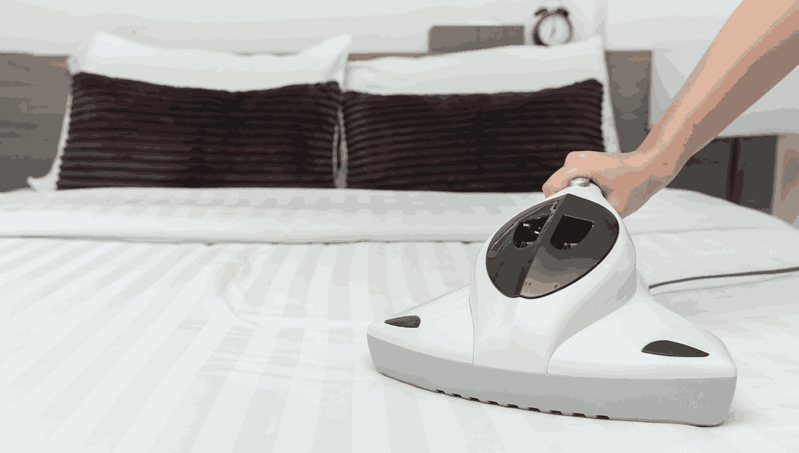 Professional Mattress Cleaning Drysdale